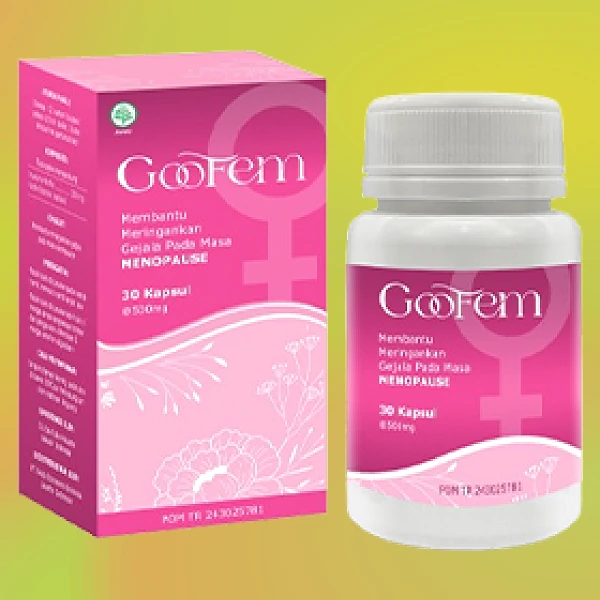 GOOFEM